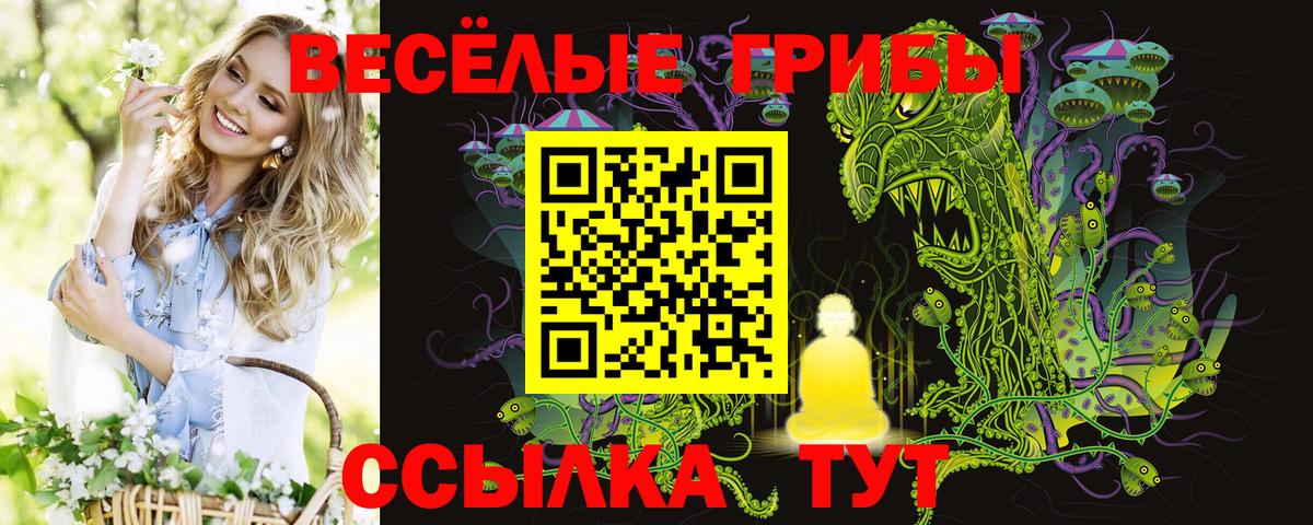 Псилоцибиновые грибы Magic Shrooms Ногинск