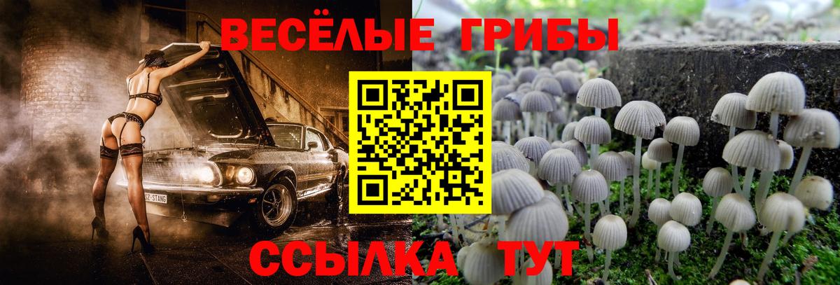 Ногинск  Галлюциногенные грибы GOLDEN TEACHER  Вход с VPN 